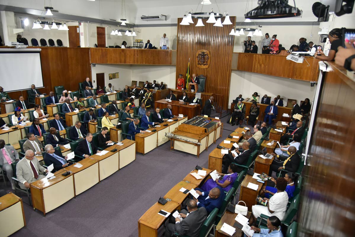 Howard Mitchell and Michael McAnuff-Jones write: The nation deserves representatives who earn trust, command respect, and possess the demonstrated capacity to lead with integrity.