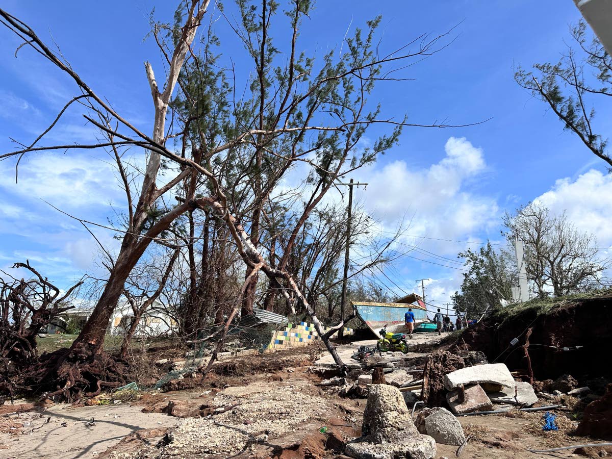 A photo showing a section of St Elizabeth following the passing of Hurricane Melissa. 