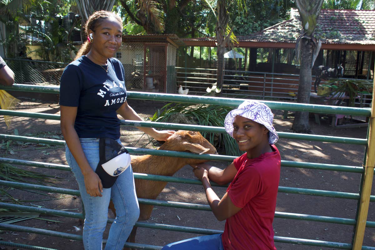 UWI students Iyanu Small (right) and Angel Bailey, part of two student groups volunteering in the post-storm cleanup, smile as they pet a goat.