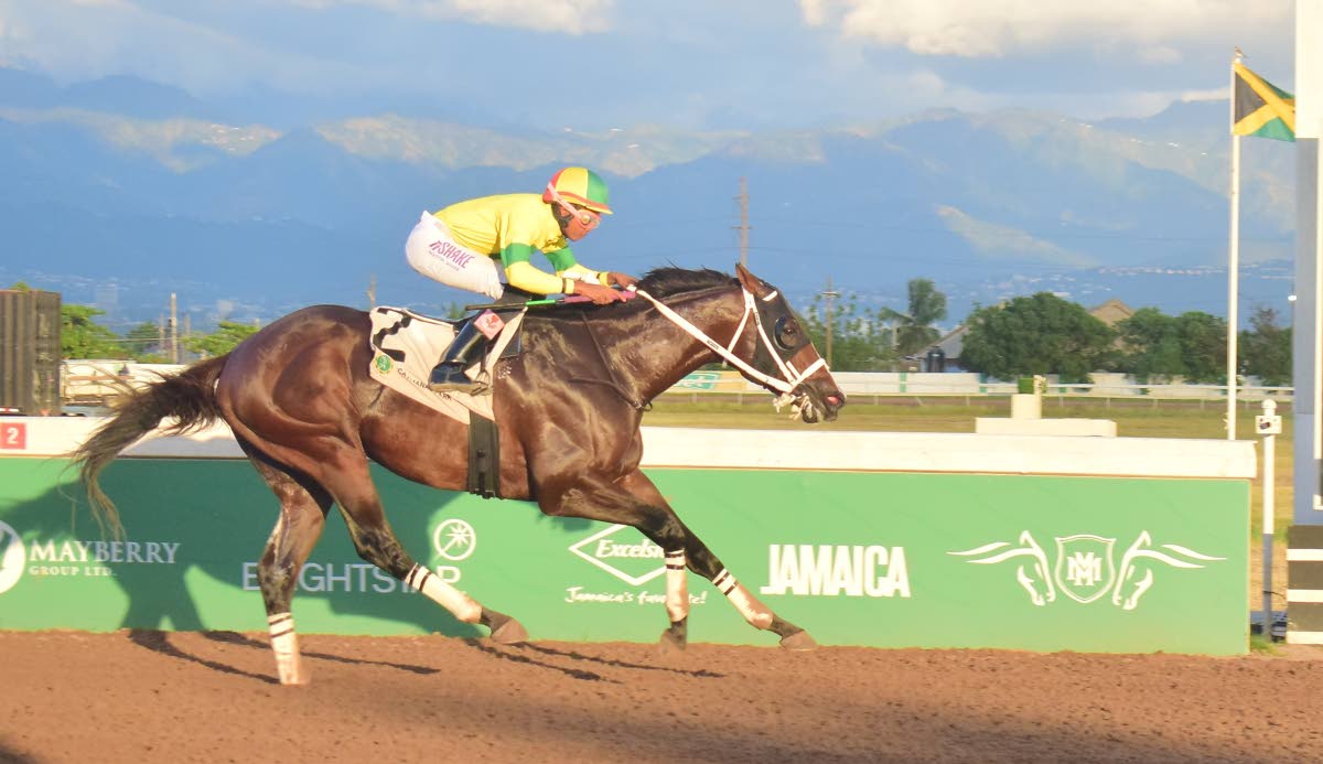 LEGACY ISLE, ridden by Raddesh Roman, wins the Chris Harmond Memorial Sprint Trophy over five-and-a-half furlongs at Caymanas Park on Saturday.