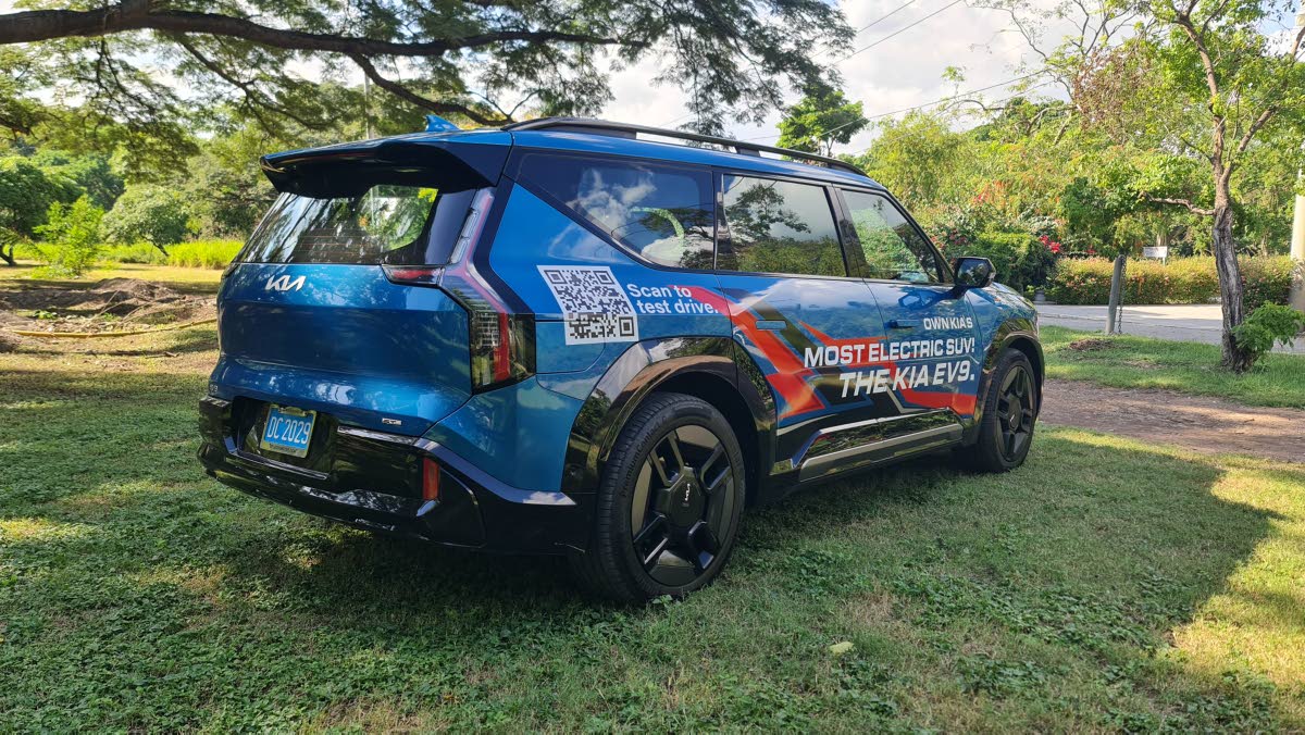 The rear design is anchored by vertical “Star Map” LED tail lamps that wrap around the tailgate, emphasising a wide, clean tailgate that conceals a substantial amount of family-ready utility.
