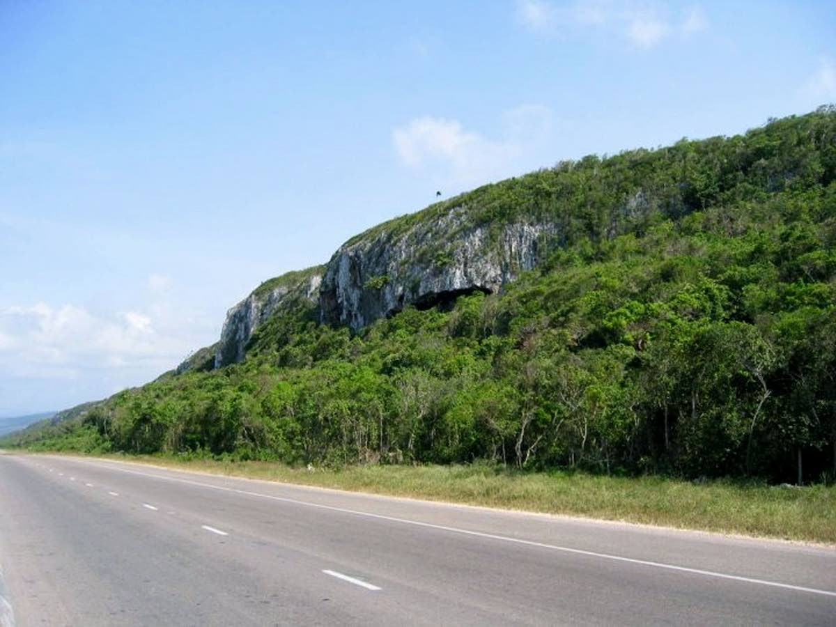 A section of the Puerto Bueno Mountain, also called the Dry Harbour Mountains, in St Ann.
