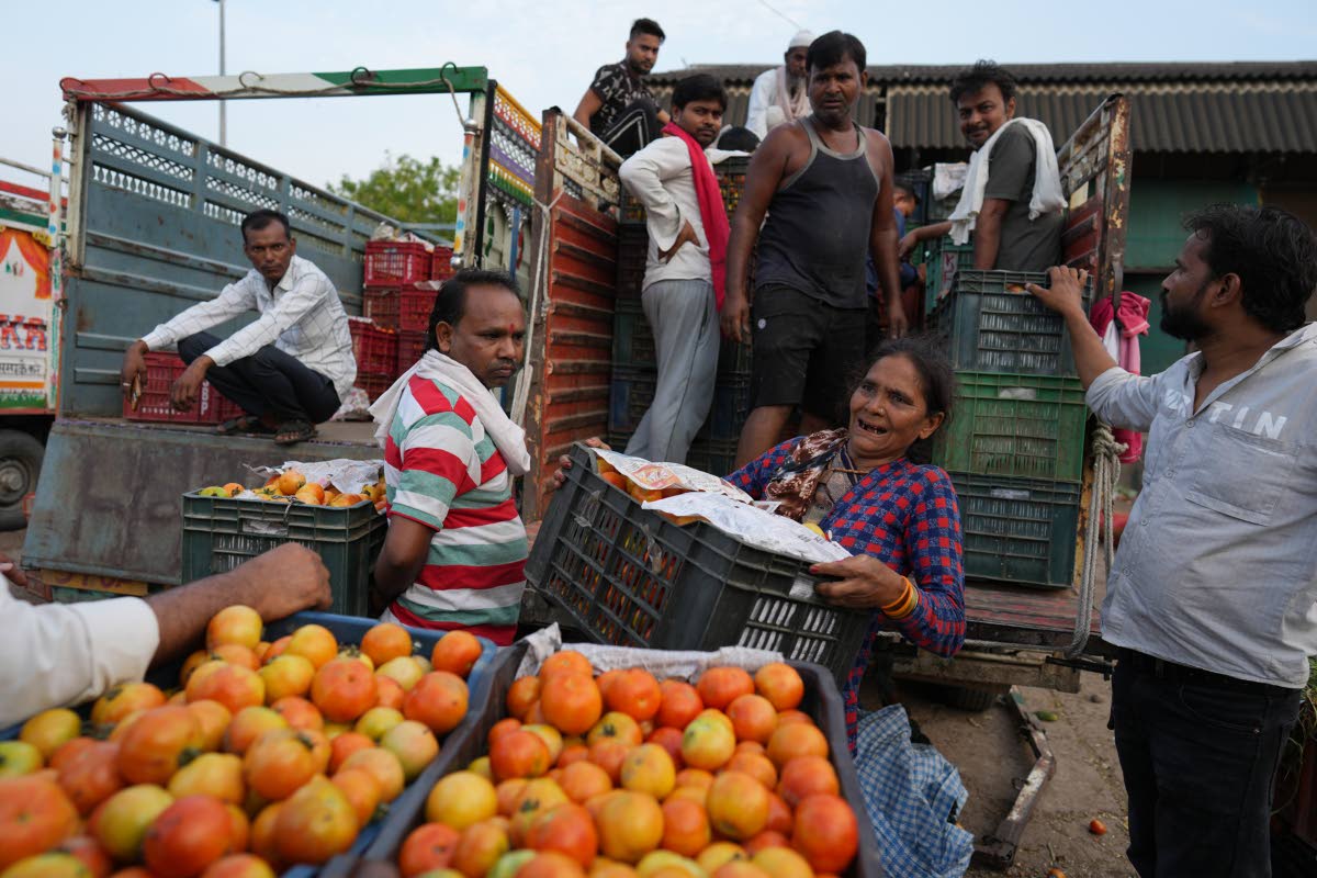 Munni Devi unloads tomatoes from a truck at a vegetable market in the early morning during a heat wave in Banda, northern Indian state of Uttar Pradesh, on Saturday, June 20.