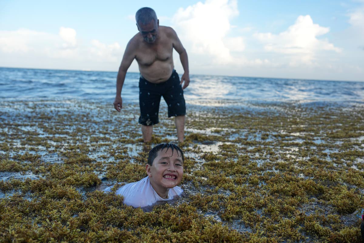 Antonio Garcia watches over his grandson along a shore blanketed with sargassum at Pelicanos beach in Playa del Carmen, Mexico, last Wednesday.