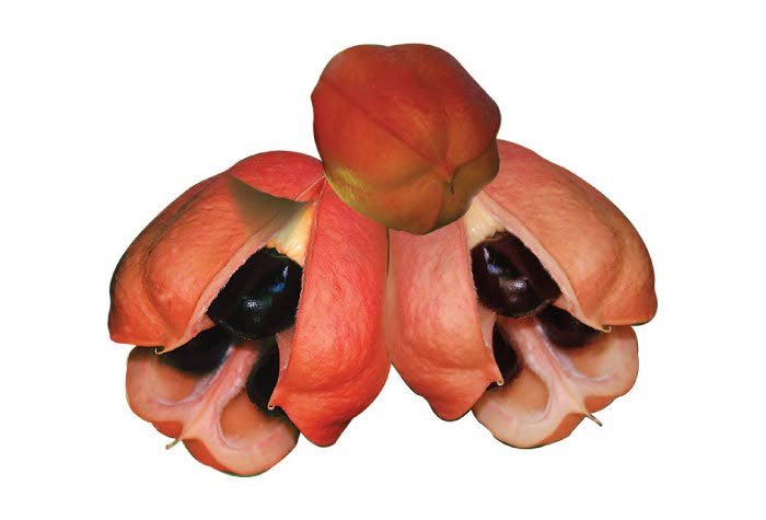 Ackee
