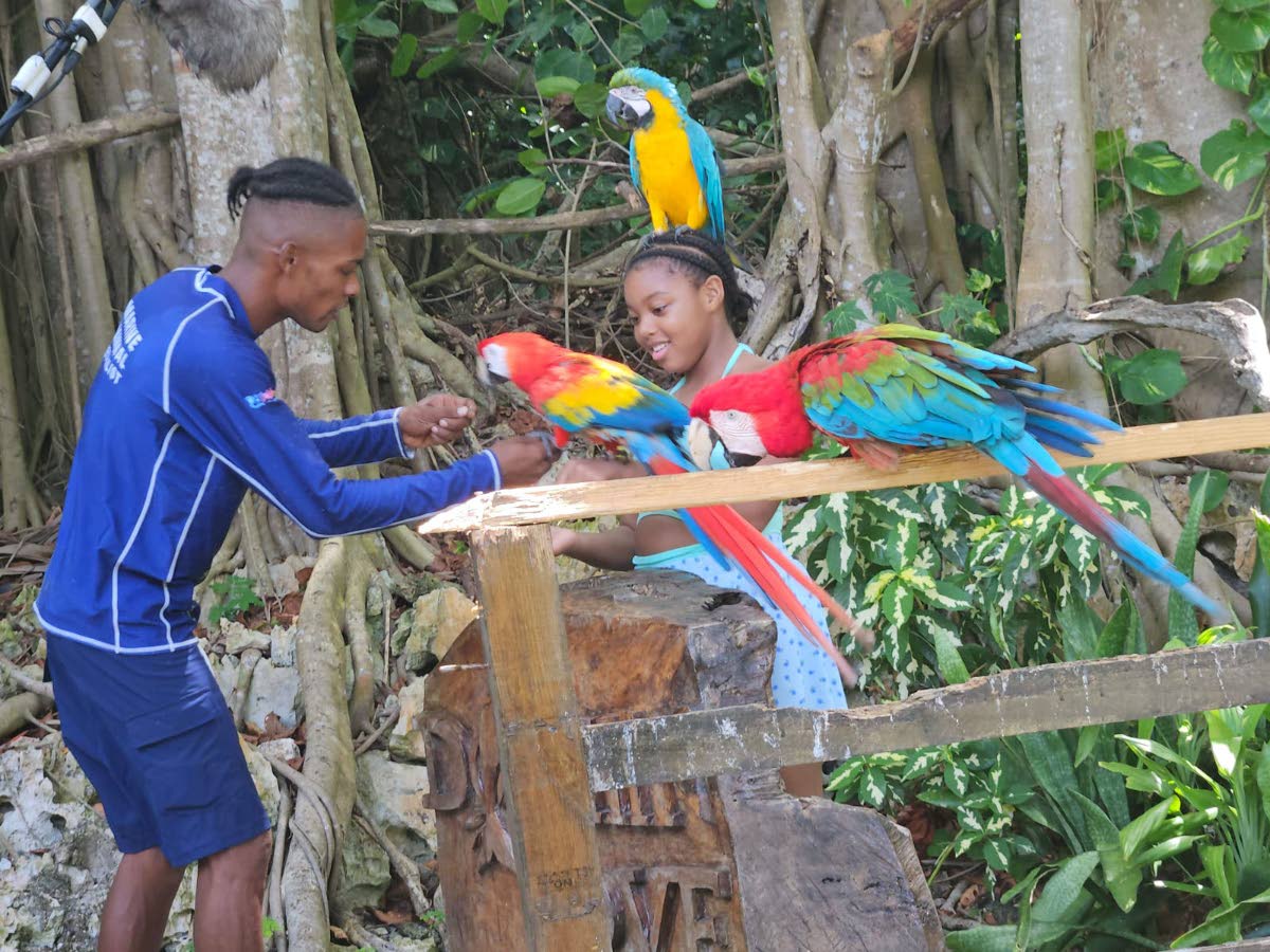Kaylie enjoys a colourful encounter with some of the birds on her nature walk at Dolphin’s Cove.