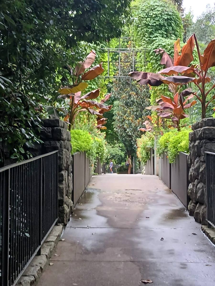 
A pathway surrounded by lush greenery – photo taken at Atlanta Botanical garden – Atlanta, Georgia.