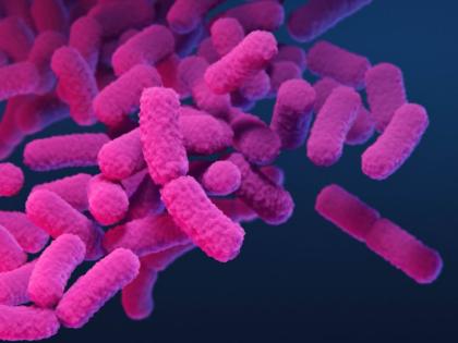 This 2019 illustration provided by the Centers for Disease Control and Prevention depicts carbapenem-resistant Enterobacteriaceae (CRE) bacteria. (Stephanie Rossow/CDC via AP)