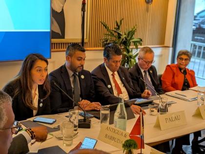 AOSIS leaders meet in New York.