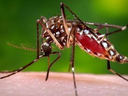 The health ministry says vector control activities, including fogging, larviciding, and community inspections, are likely to be temporarily disrupted following the passage of Hurricane Melissa.