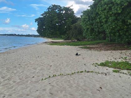 Negril’s famous white sand beach