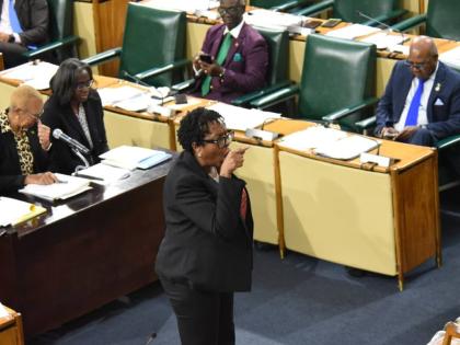 Andrew South West Member of Parliament Dr Angela Brown Burke at a sitting of the House of Representatives on December 8, 2025.