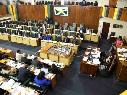 This February 10 photo shows sitting of the house of representatives.
