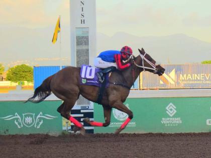 SHE'S THAT GIRL won yesterday's feature race.