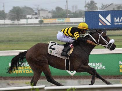 
SIR DON, ridden by Raddesh Roman, wins the 11th running of the Saint Cecelia Cup at Caymanas Park yesterday.