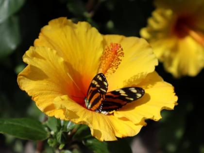 Nature in perfect harmony. Photo taken at Calgary Zoo, Calgary, Canada