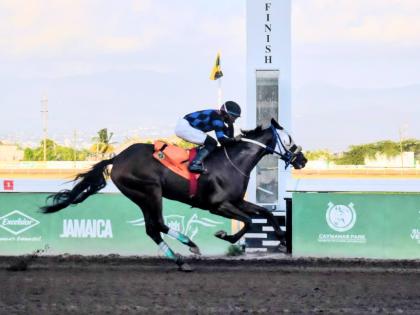 
WHIZZ KID, running at long odds at 23-1 and ridden by Richie Shakes, wins the O&S Tack Room Trophy over a mile at Caymanas Park yesterday.