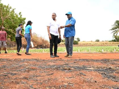 Minister of Agriculture Floyd Green (second right) and Permanent Secretary in the Ministry, Dermon Luke Spence, survey a scorched section of farmland in the Gillard community in Pedro Plains, St Elizabeth on Wednesday, August 26.