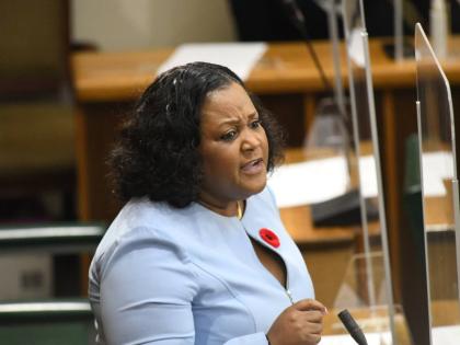 St Catherine North Central Member of Parliament Natalie Neita Garvey