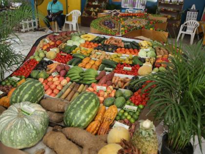 Agricultural produce on display at a farm show.