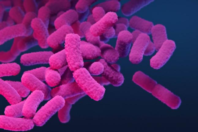This 2019 illustration provided by the Centers for Disease Control and Prevention depicts carbapenem-resistant Enterobacteriaceae (CRE) bacteria. (Stephanie Rossow/CDC via AP)