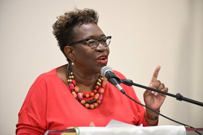 Former Director of Public Prosecutions, Paula Llewellyn