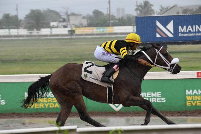 
SIR DON, ridden by Raddesh Roman, wins the 11th running of the Saint Cecelia Cup at Caymanas Park yesterday.