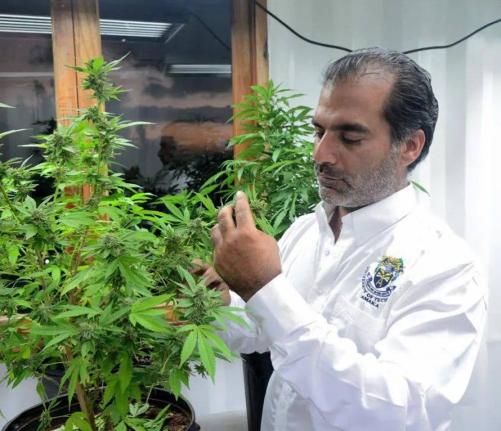Balram Vaswani, CEO of NUGL Inc, the operator of the Kaya cannabis brand in Jamaica. 
