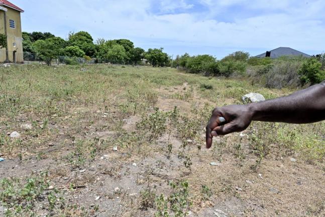 The vacant quarter-acre lot. The documents presented by the new owner shows a single-storey concrete structure on the property.