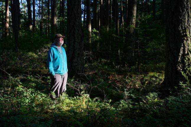 Andy MacKinnon, a forest ecologist, stands beneath the forest canopy near Victoria, British Columbia, Canada, Friday, May 29, 2026. 