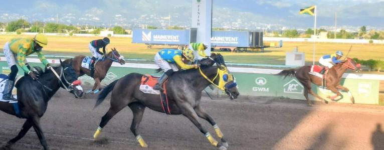 
LOCKDOWN (right), running at long odds of 75-1 and ridden by Paul Francis, wins the Nigel B Nunes Memorial Cup over five furlongs straight ahead of JOHN CROW JEFF (Jaheim Anderson) at Caymanas Park yesterday.