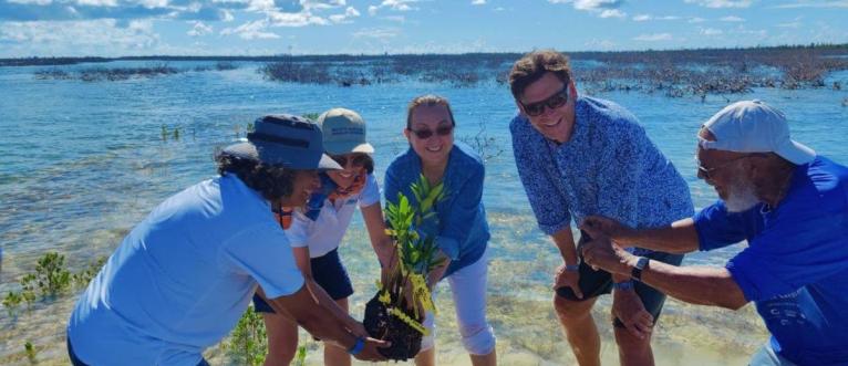 The Caribbean Biodiversity Fund’s board and team members plant mangrove seedlings in The Bahamas. 