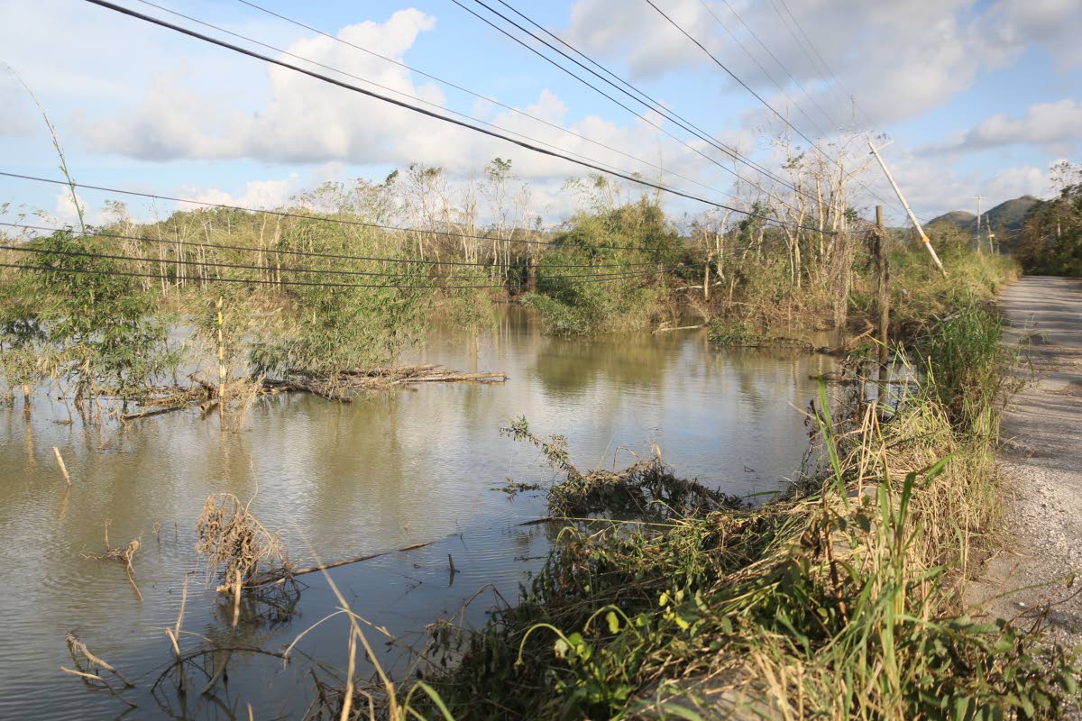 A flooded farm in Bog Hole, Clarendon, days after Hurricane Melissa made landfall in Jamaica.