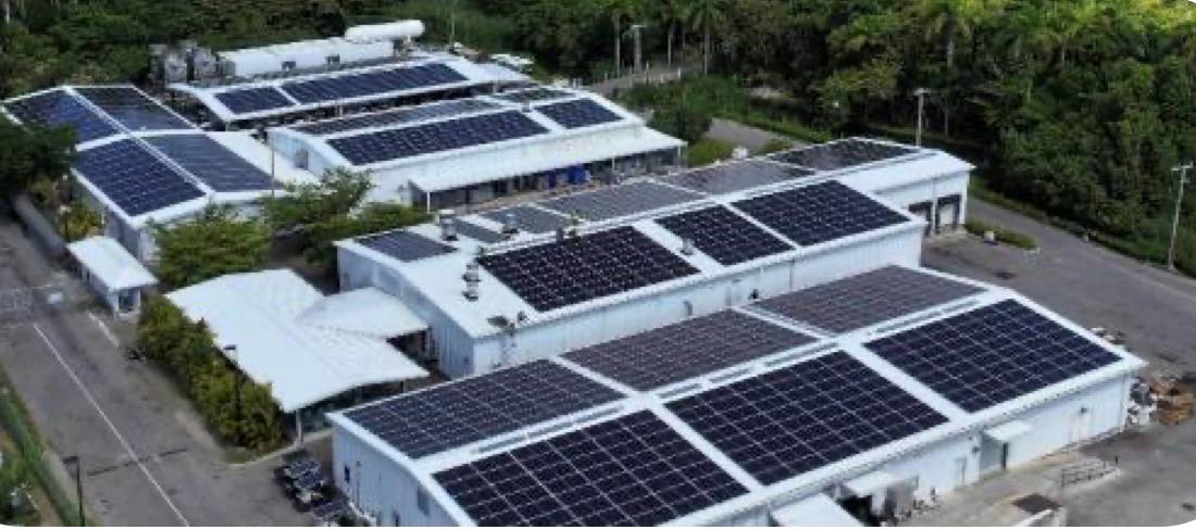 Solar panels pictured in Rubis’ half-year results presentation, in its discussion on Jamaica. 