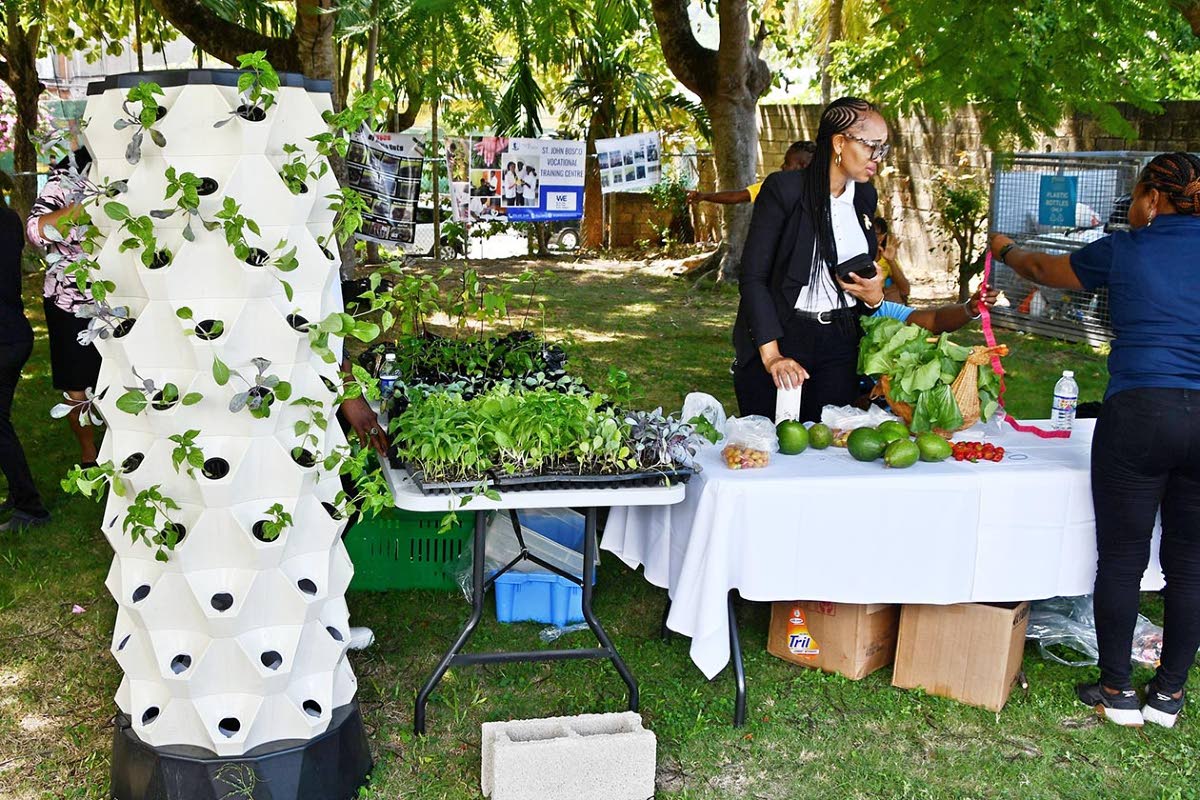 Hydroponic technology on display at the St John Bosco Vocational Training Centre’s booth during HEART’s Community Training Intervention Day in Ocho Rios.
