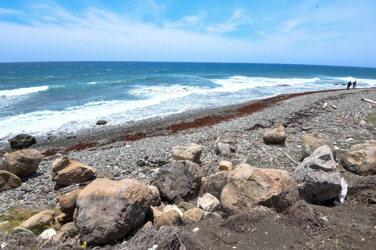 A section of the South Haven public beach in St Thomas. The beach has a lot of rocks both underwater and on the shore.