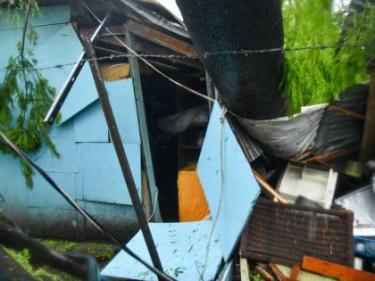 One of three homes damaged along Walker’s Avenue in Portmore, St Catherine, on Tuesday after a large tree was felled by Hurricane Melissa’s fierce winds.