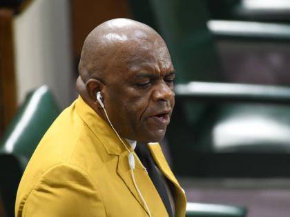 Opposition Spokesman on Housing and Sustainable Living Senator Professor Floyd Morris.