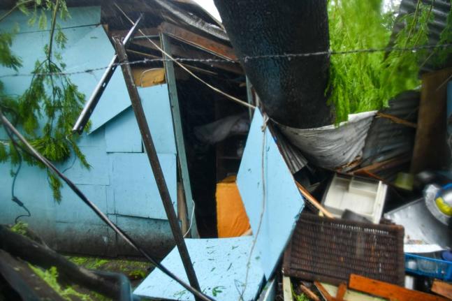 One of three homes damaged along Walker’s Avenue in Portmore, St Catherine, on Tuesday after a large tree was felled by Hurricane Melissa’s fierce winds.